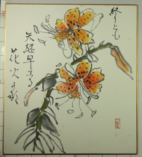 Is650 shikishi pianta fiore - shikishi,